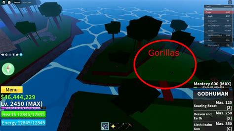 Where are the Gorillas in Blox Fruits? - Gamepur