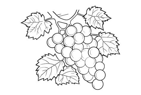 Dibujo De Un Racimo De Uvas Para Colorear