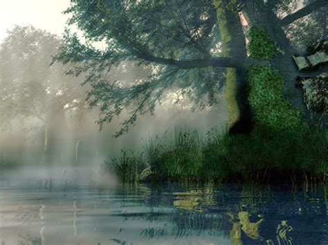 Nature Rain Wallpaper - WallpaperSafari