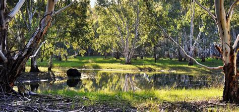 Kaurna Park Wetlands City Of Salisbury