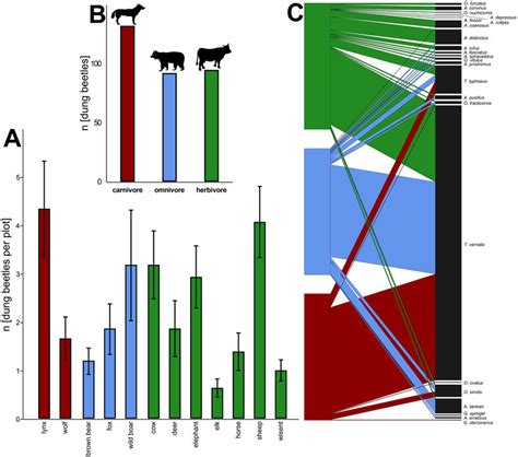 Overview Of Trapped Beetles For A Subset Of 12 Representative Dung