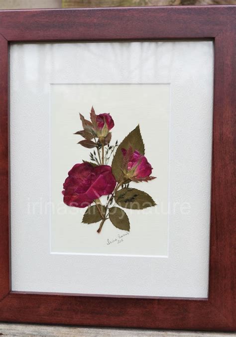 Real Roses Original Pressed Flower Art Floral By Irinasartbynature Pressed Flower Art Dry