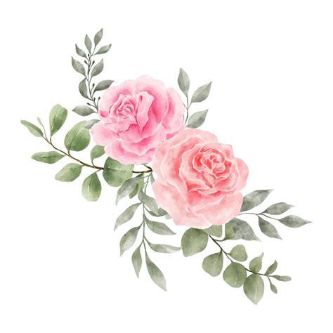 Vetor De Aquarela De Flores Rosas Cor De Rosa E Vermelho Isolado No