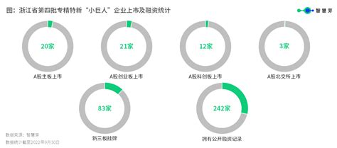 浙江第四批专精特新“小巨人”数量全国第一，603家企业平均授权发明专利16件 央广网