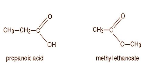 Isomerism Definition Types Assignment Point