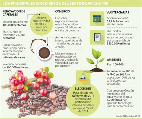 ᐈ Productividad de las plantas de café en kilos CaféSinMás