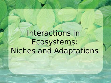 Ppt Interactions In Ecosystems Niches And Adaptations Dokumen Tips