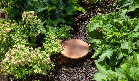 Oyas utilité fonctionnement et avantages Jardiland