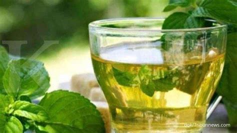 Manfaat Daun Mint Yang Bisa Dirasakan Oleh Tubuh Manusia