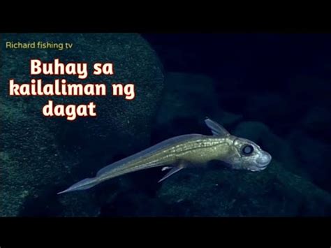 Pinakamalalim Ng Parti Sa Dagat Youtube