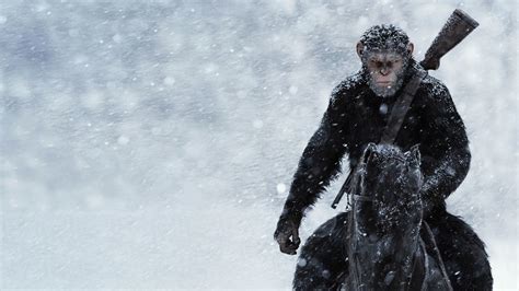 War For The Planet Of The Apes 2017 Backdrops — The Movie Database