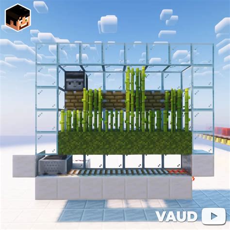 how to plant sugarcane minecraft