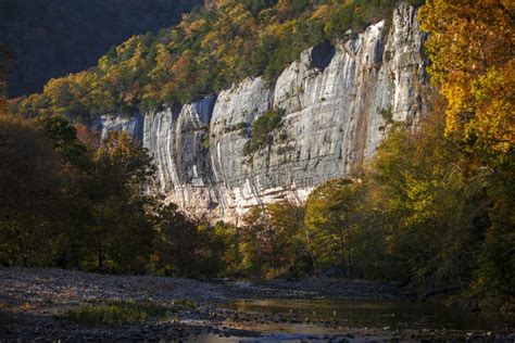 Autumn At Roark Bluff In Steel Creek Campground Along The Buffalo River