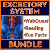 Human Body Systems Excretory Urinary System Activity Webquest With