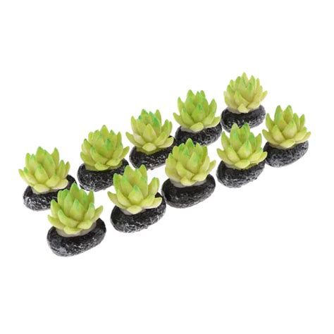 X Mini Plantes Succulentes Pour Maison De Poup E Ornement