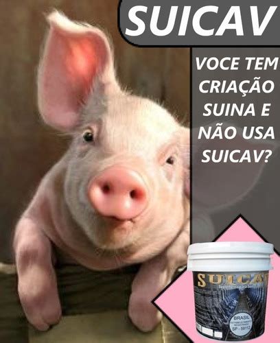 Suicav 10kg Suplemento Núcleo Para Ração De Suínos Agrocave