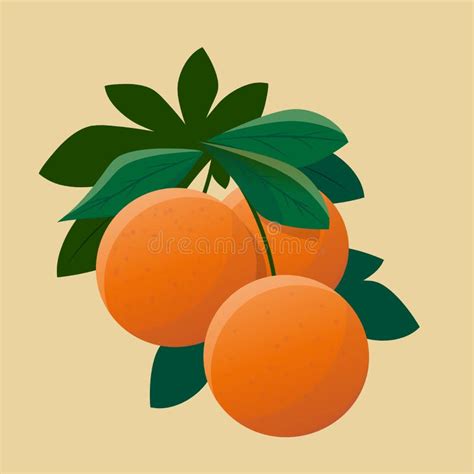 Ilustraci N Vectorial De Naranjas Con Hojas Ilustraci N Del Vector