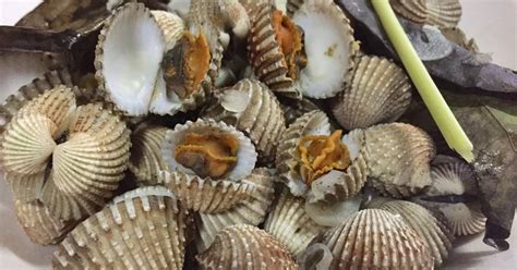 Kerang Dara Rebus Resep Cookpad