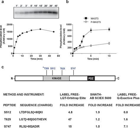 Figures And Data In Reciprocal Regulation Of Arpp By Pka And Mast