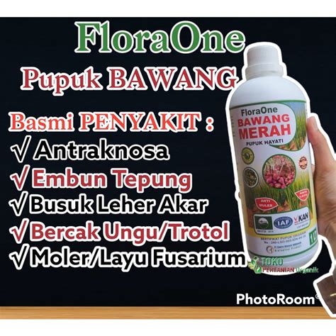 Jual Pupuk Hayati L Bawang Merah Yang Bagus Fungisida Hayati Untuk