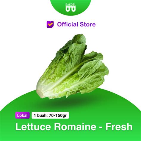 Jual Lettuce Romaine Fresh Jakarta Barat Bakoel Sayur Online