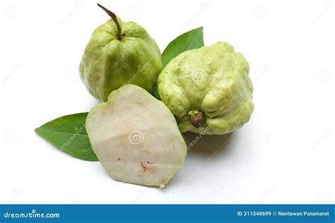 Fresh Green Raw Guava Psidium Guajava L Fruit Cut In Half Sliced