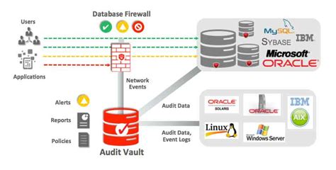 CÓMO ASESGURAR BASES DE DATOS Cyber Security