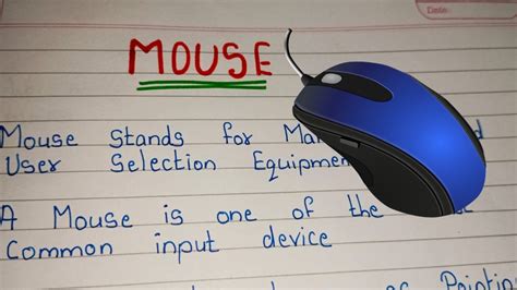 Lines On Computer Mouse Essay On Mouse In English Essay On