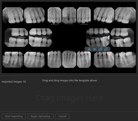 Dental Fmx Layout