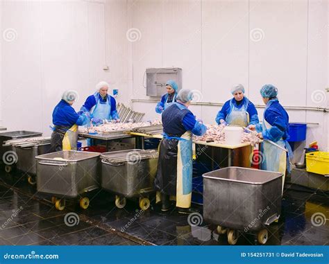 Workers Working In A Chicken Meat Plant Stock Image Image Of Butcher