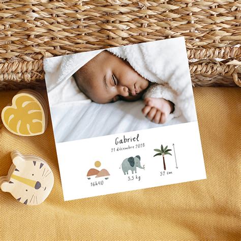 Faire Part Naissance Pictos Savane Popcarte