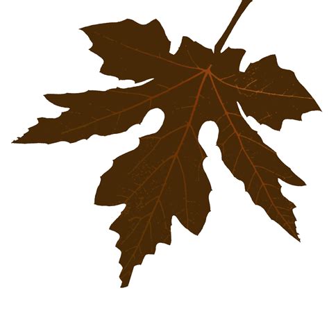 Maple Leaf Shape 24994619 PNG