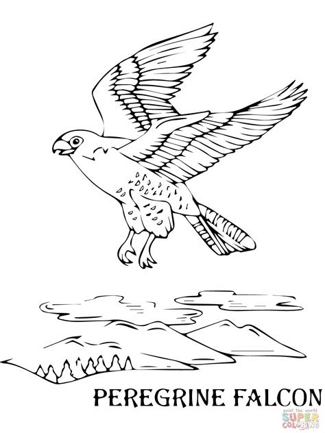 Falcon Printable Coloring Pages