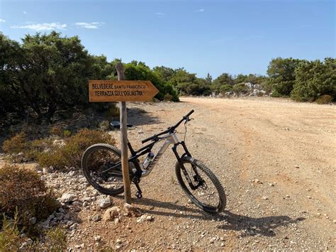 Ads Bici Rubate Furto Bici Canyon Colore Grigio E Nera