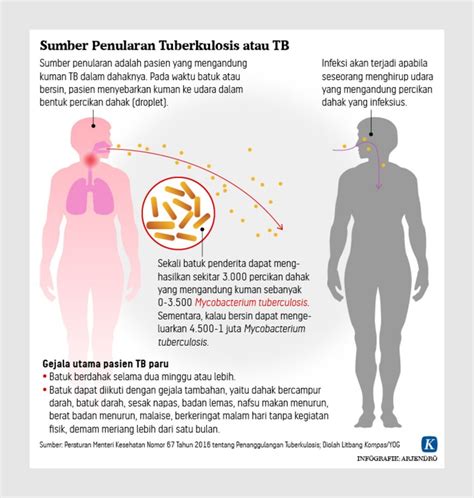 Istilah Lama TBC Isilah Kini TB Faskes Harus Proaktif Jangan Cuma