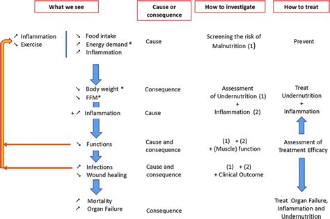 Schematic Representation Of The Diagnosis And Treatment Of