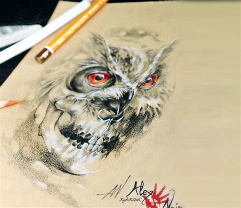 Owl Vs Skull Drawing By Alex Noir Post 17303