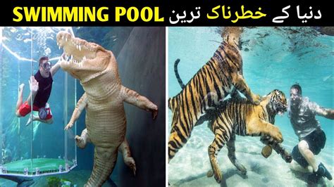 5 Most Very Dangerous Swimming Pools In The World Azzzu Tv YouTube