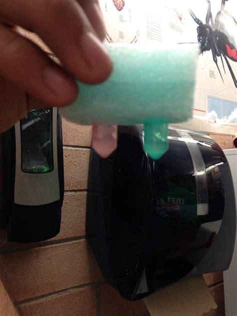 Carolina Bacterial Transformation Lab Answers 5
