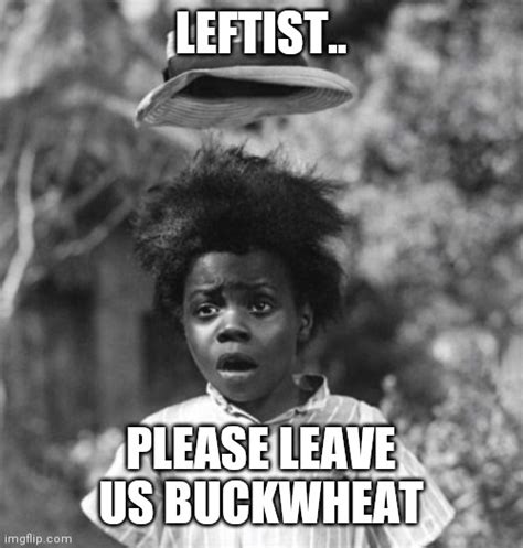 politics buckwheat Memes & GIFs - Imgflip