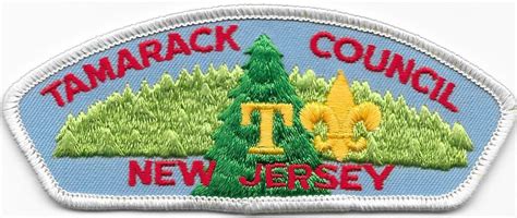 Tamarack Council Strip T Rtwill Plastic Back Csp Sap Boy Scouts Of