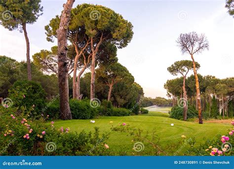 Tee Box Area At Golf Course At Sunset With Beautiful Sky Scenic