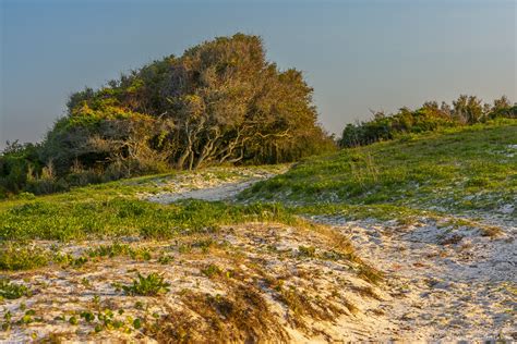 Image of Cedar Island Beach, Cedar Island, NC | 1030308