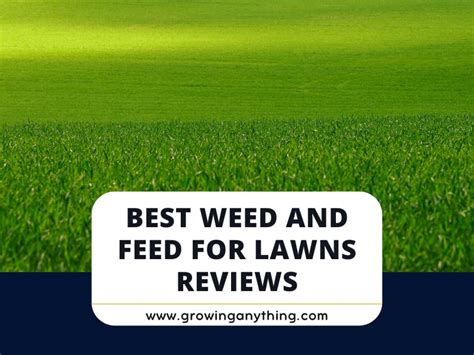 Top Best Weed And Feed For Lawns Reviews