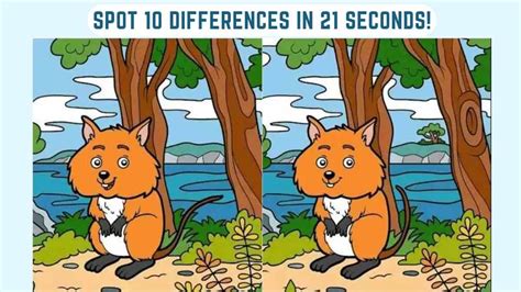 Spot The Difference Can You Spot 10 Differences Between The Images In