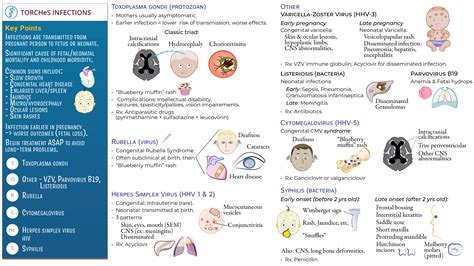 immunology microbiology congenital infections torches ditki
