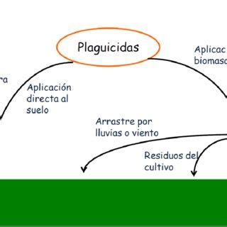 Pdf Din Mica De Los Plaguicidas En Los Agroecosistemas