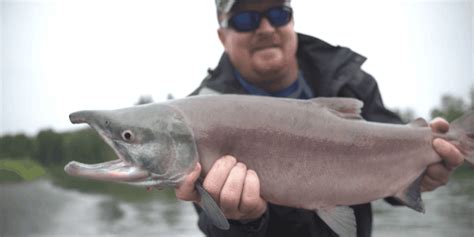 Brotherhood Outdoors Takes St. Louis Union Pipefitter on an Alaska Salmon Quest - Union ...