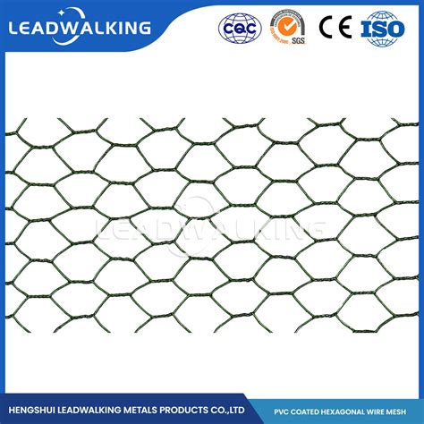 Leadwalking Low Carbon Steel Wire Material PVC Coated Galvanized Woven