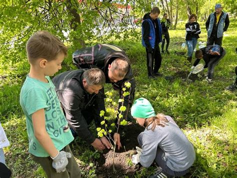 Тульские байкеры вместе с ясногорцами высадили саженцы в липовой аллее ...